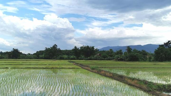 Wichouda Cottage Chiang Dao Dış mekan fotoğraf
