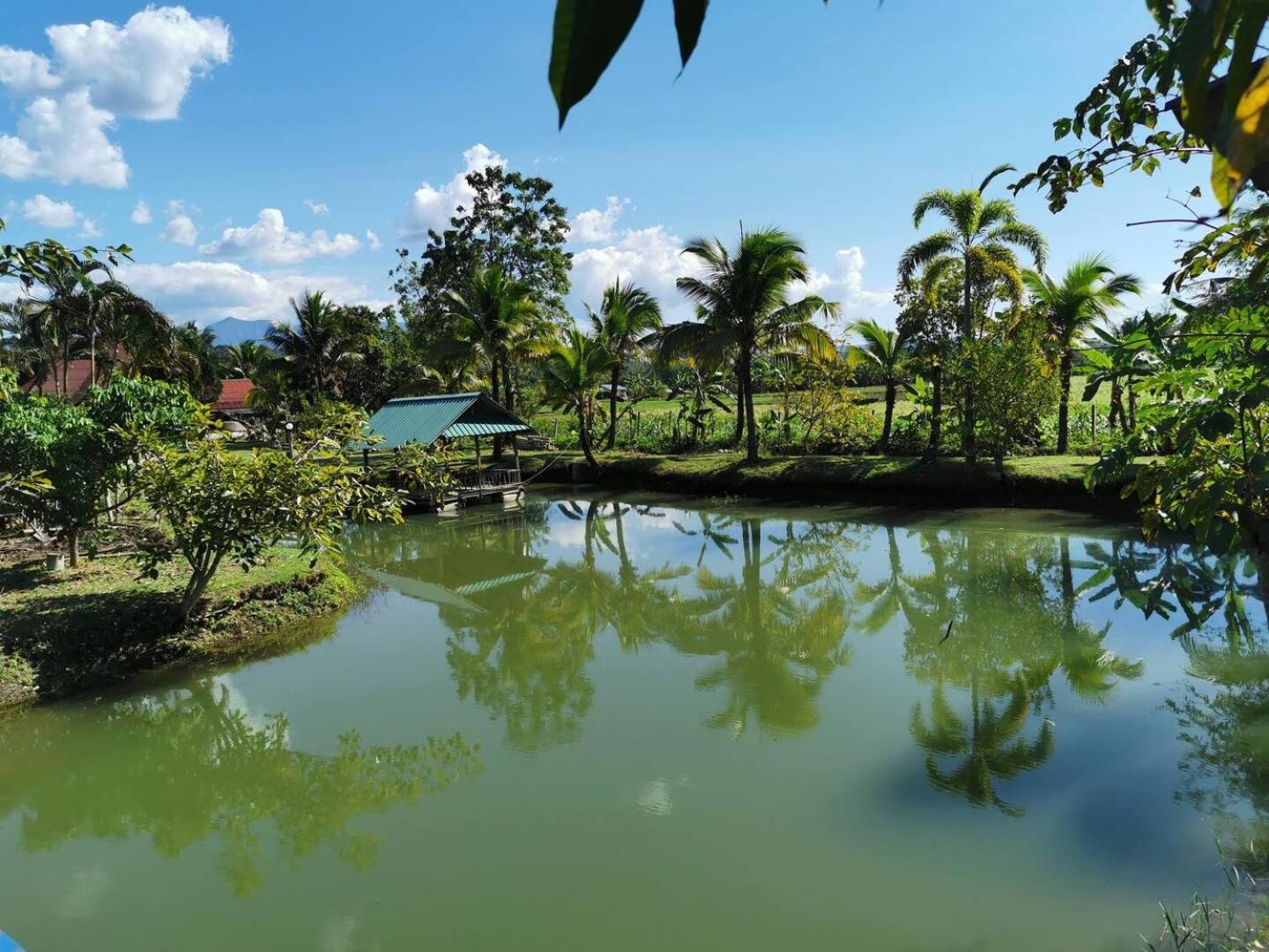 Wichouda Cottage Chiang Dao Dış mekan fotoğraf