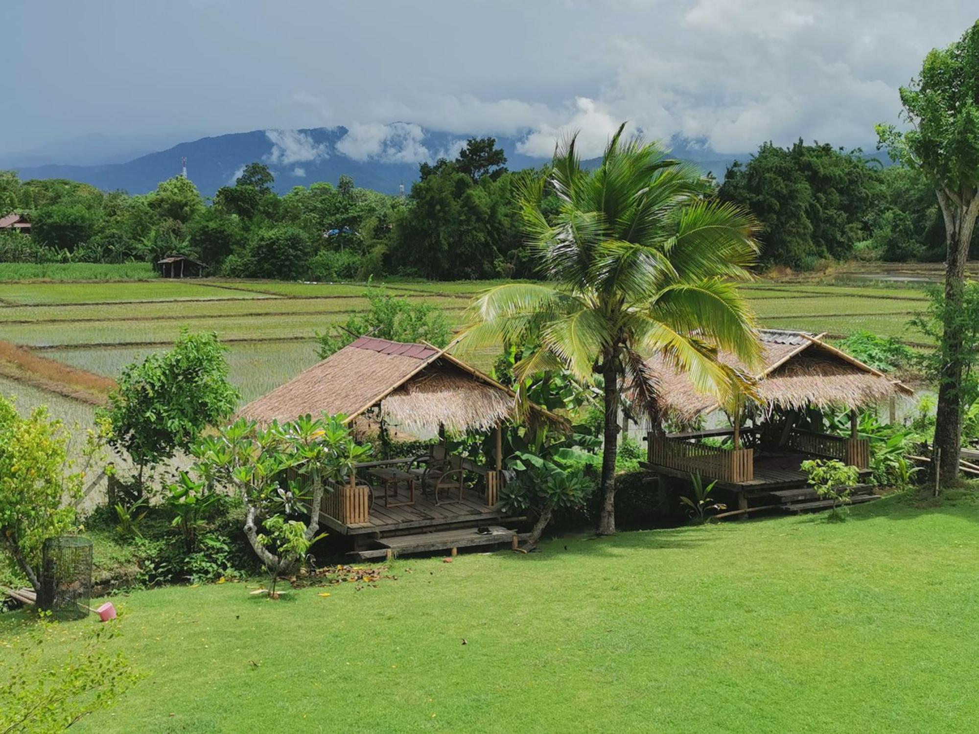 Wichouda Cottage Chiang Dao Dış mekan fotoğraf